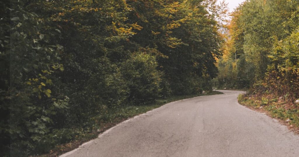 自分の道を見つける